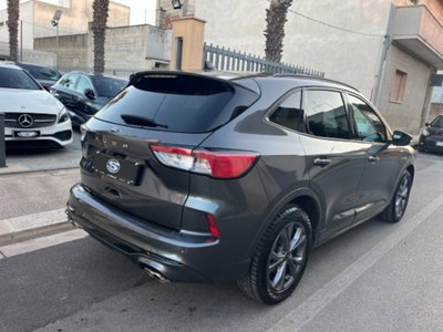 Ford Kuga 1.5 EcoBlue 120 CV aut. 2WD ST-Line X Design (4)