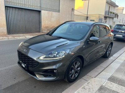 Ford Kuga 1.5 EcoBlue 120 CV aut. 2WD ST-Line X Design (8)