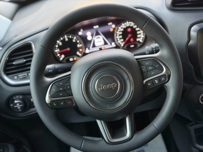 Jeep Renegade 1.6 Mjt 130 CV Limited (17)