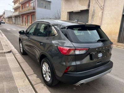 Ford Kuga 1.5 EcoBlue 120 CV aut. 2WD Titanium (6)