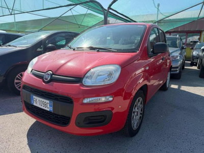 Fiat Panda 1.2 Easy usata