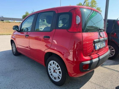Fiat Panda 1.2 Easy (3)