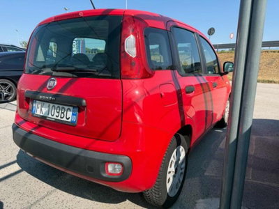 Fiat Panda 1.2 Easy (4)