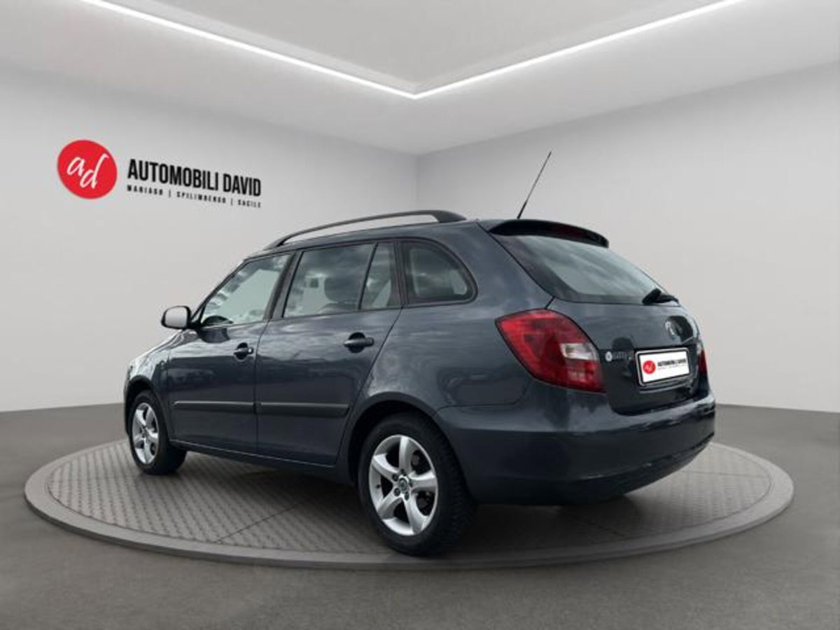 Skoda Fabia Station Wagon 1.2 TDI CR 75CV Wagon GreenLine (3)