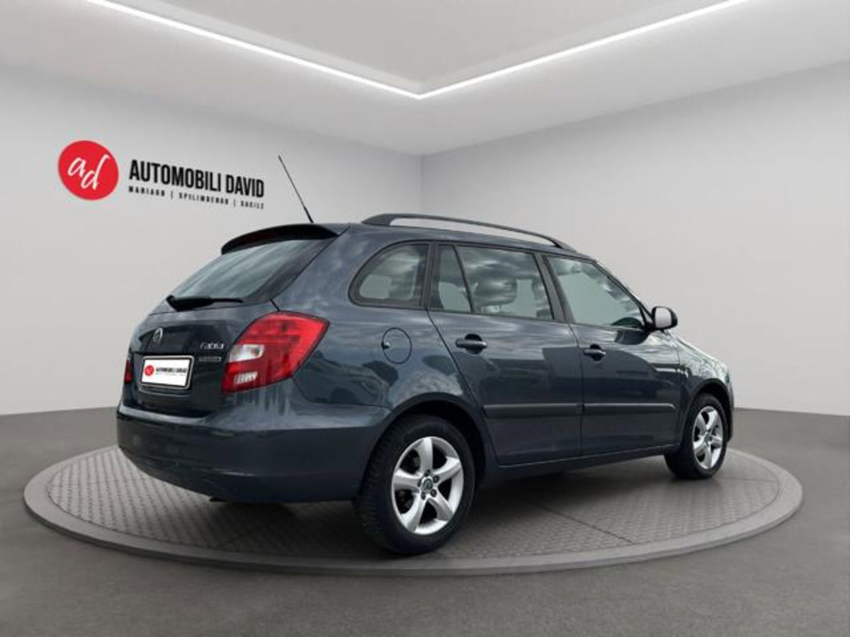 Skoda Fabia Station Wagon 1.2 TDI CR 75CV Wagon GreenLine (4)