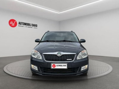 Skoda Fabia Station Wagon 1.2 TDI CR 75CV Wagon GreenLine (5)