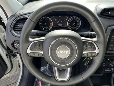 Jeep Renegade 1.6 Mjt 130 CV Limited (8)