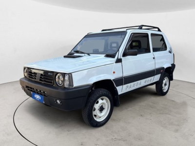 Fiat Panda 1000 i.e. cat 4x4 Trekking usata