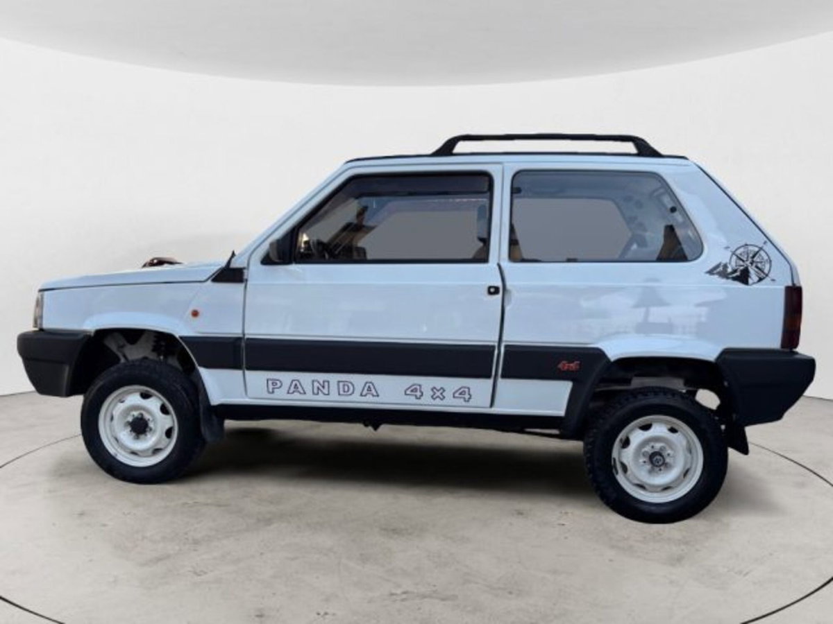 Fiat Panda 1000 i.e. cat 4x4 Trekking (2)