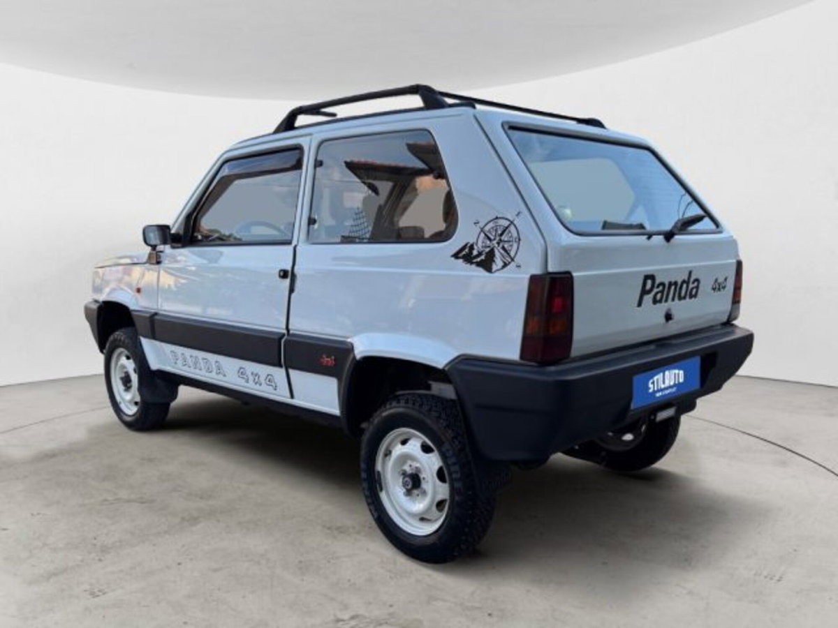 Fiat Panda 1000 i.e. cat 4x4 Trekking (3)
