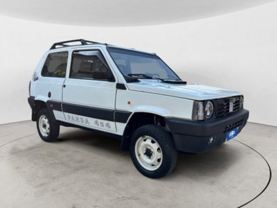 Fiat Panda 1000 i.e. cat 4x4 Trekking (6)