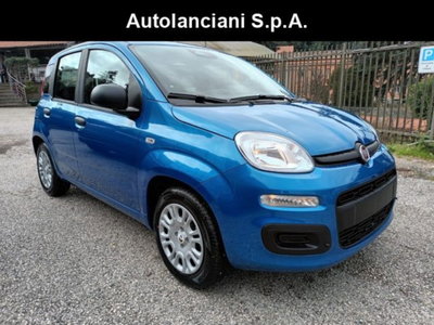 Fiat Panda 1.0 firefly hybrid s&s 70cv nuova