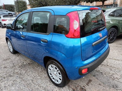 Fiat Panda 1.0 firefly hybrid s&s 70cv (3)
