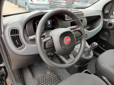 Fiat Panda 1.0 firefly hybrid s&s 70cv 5p.ti (10)
