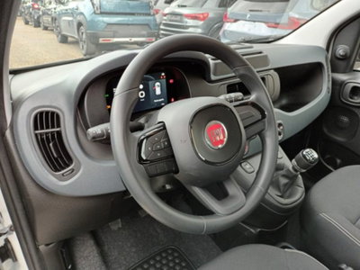 Fiat Panda 1.0 firefly hybrid s&s 70cv (10)