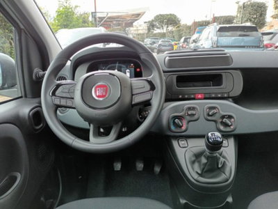 Fiat Panda 1.0 firefly hybrid s&s 70cv (11)