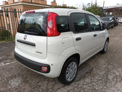 Fiat Panda 1.0 firefly hybrid s&s 70cv (4)