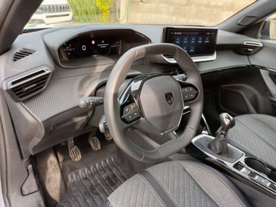 Peugeot 2008 PureTech 100 S&S Allure (7)
