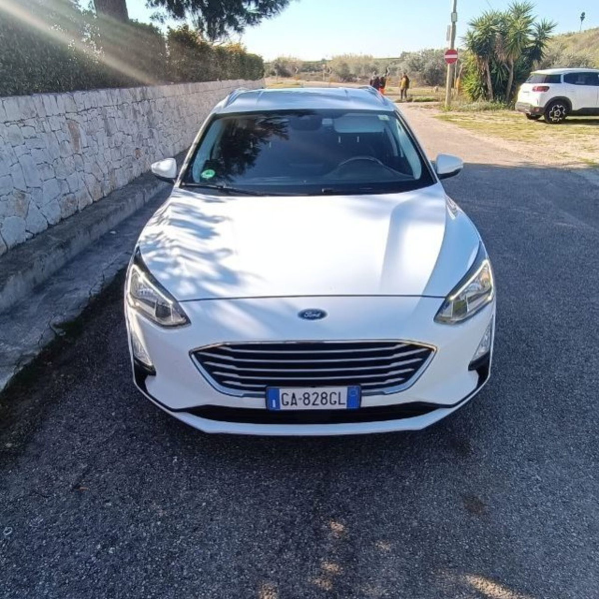 Ford Focus Station Wagon 1.5 EcoBlue 95 CV SW Business (6)
