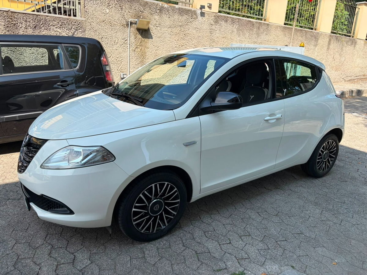 Lancia Ypsilon 1.2 69 CV 5 porte Elefantino