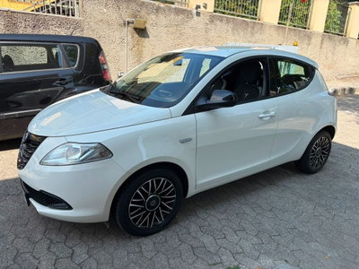 Lancia Ypsilon 1.2 69 CV 5 porte Elefantino usata