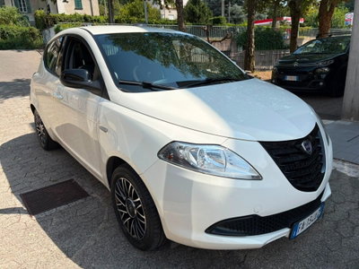 Lancia Ypsilon 1.2 69 CV 5 porte Elefantino (3)