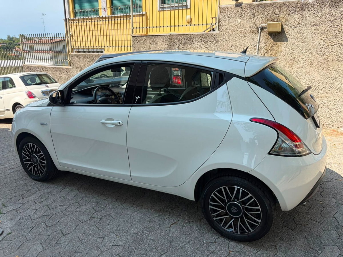 Lancia Ypsilon 1.2 69 CV 5 porte Elefantino (4)