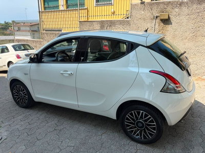 Lancia Ypsilon 1.2 69 CV 5 porte Elefantino (4)