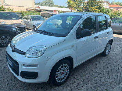 Fiat Panda 1.2 Lounge usata