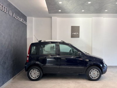 Fiat Panda 1.2 Dynamic Natural Power (3)