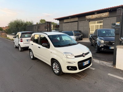Fiat Panda 1.2 Easy usata