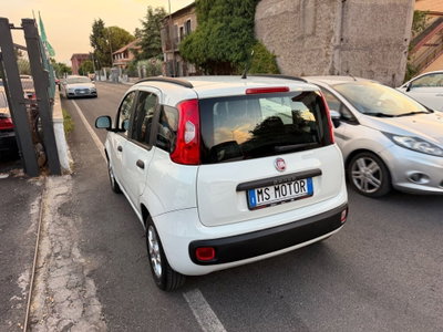 Fiat Panda 1.2 Easy (11)