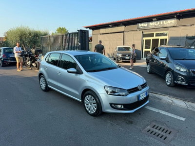 Volkswagen Polo 1.2 TDI DPF 5 p. United usata