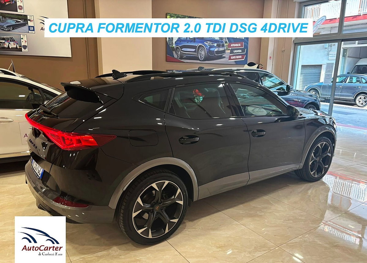 Cupra Formentor Formentor 2.0 tdi 4drive 150cv dsg (6)