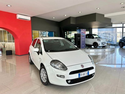 Fiat Punto 1.3 MJT II S&S 95 CV 5 porte Street (4)