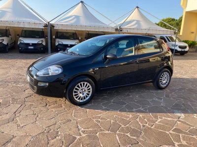 Fiat Punto 1.2 8V 5 porte Street usata
