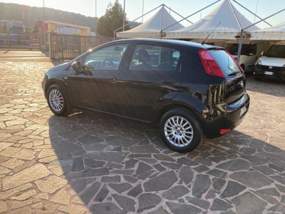 Fiat Punto 1.2 8V 5 porte Street (2)