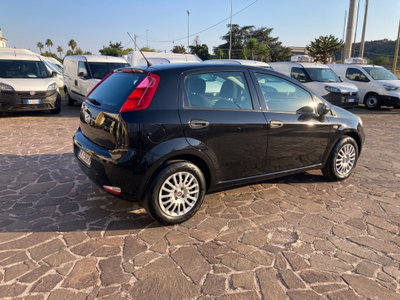 Fiat Punto 1.2 8V 5 porte Street (3)
