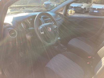 Fiat Punto 1.2 8V 5 porte Street (6)