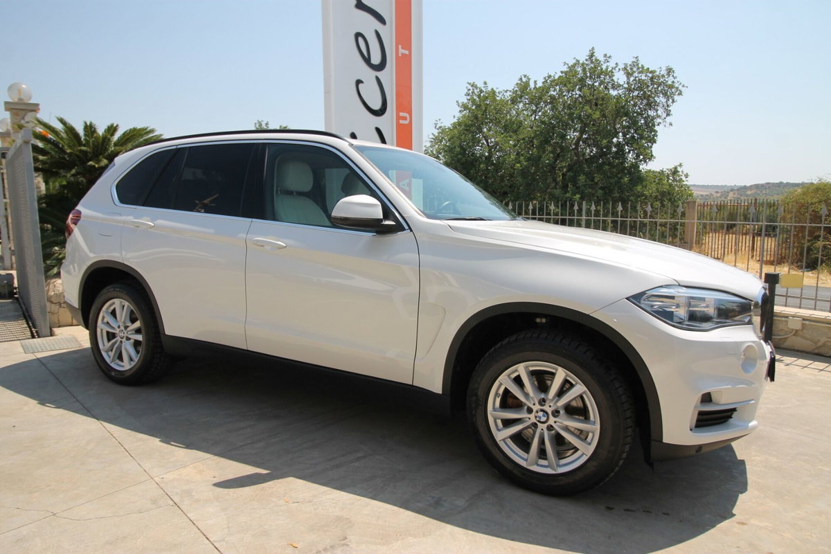 BMW X5 sDrive25d (7)
