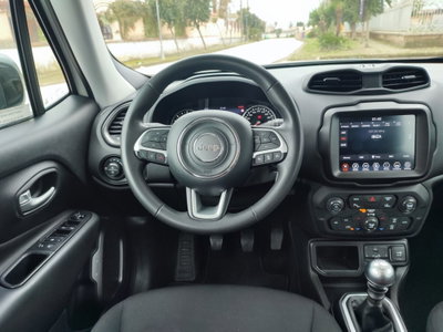 Jeep Renegade 1.6 Mjt 130 CV Limited (15)