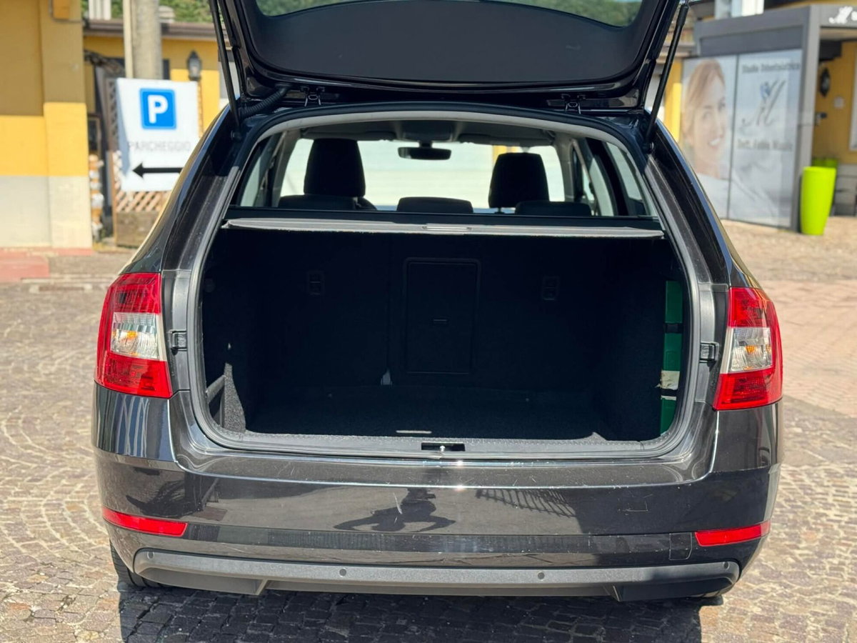 Skoda Octavia Station Wagon 1.6 TDI CR 115 CV Wagon Executive (17)