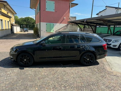 Skoda Octavia Station Wagon 1.6 TDI CR 115 CV Wagon Executive (3)