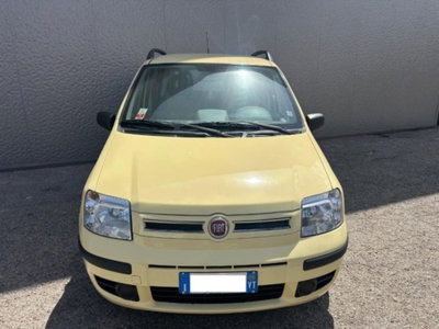 Fiat Panda 1.2 4x4 usata