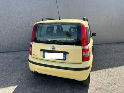 Fiat Panda 1.2 4x4 (2)