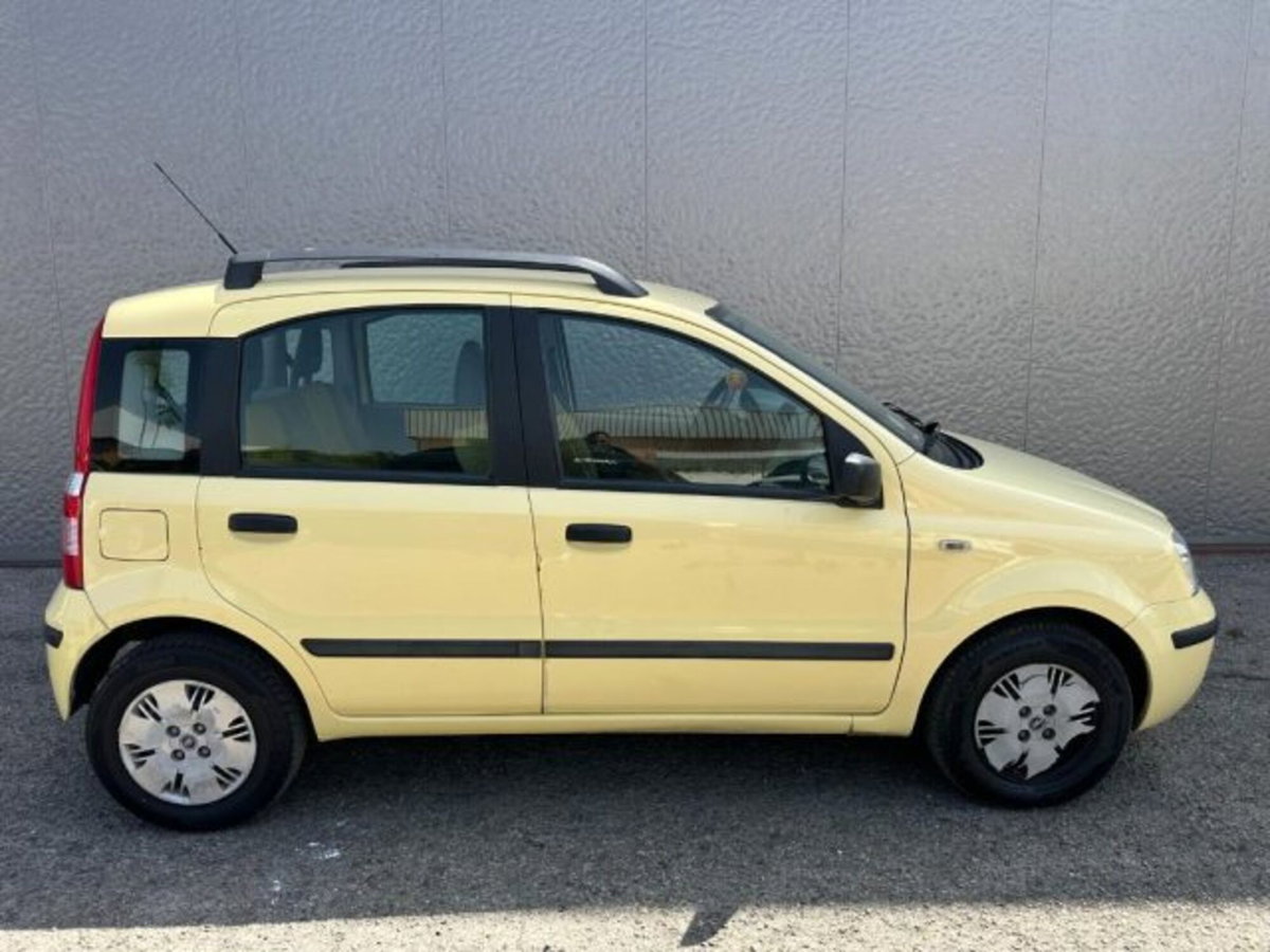 Fiat Panda 1.2 4x4 (4)