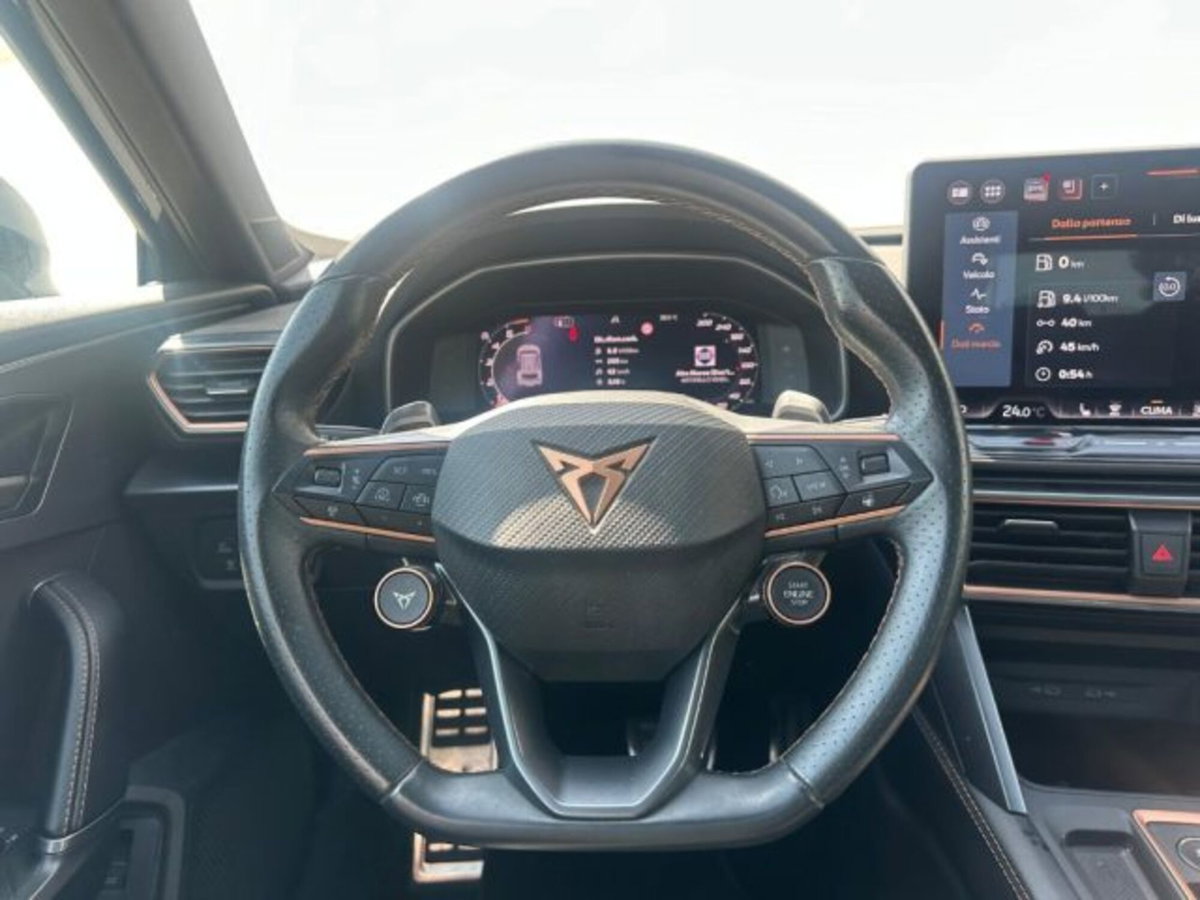 Cupra Formentor Formentor 2.0 TDI (16)