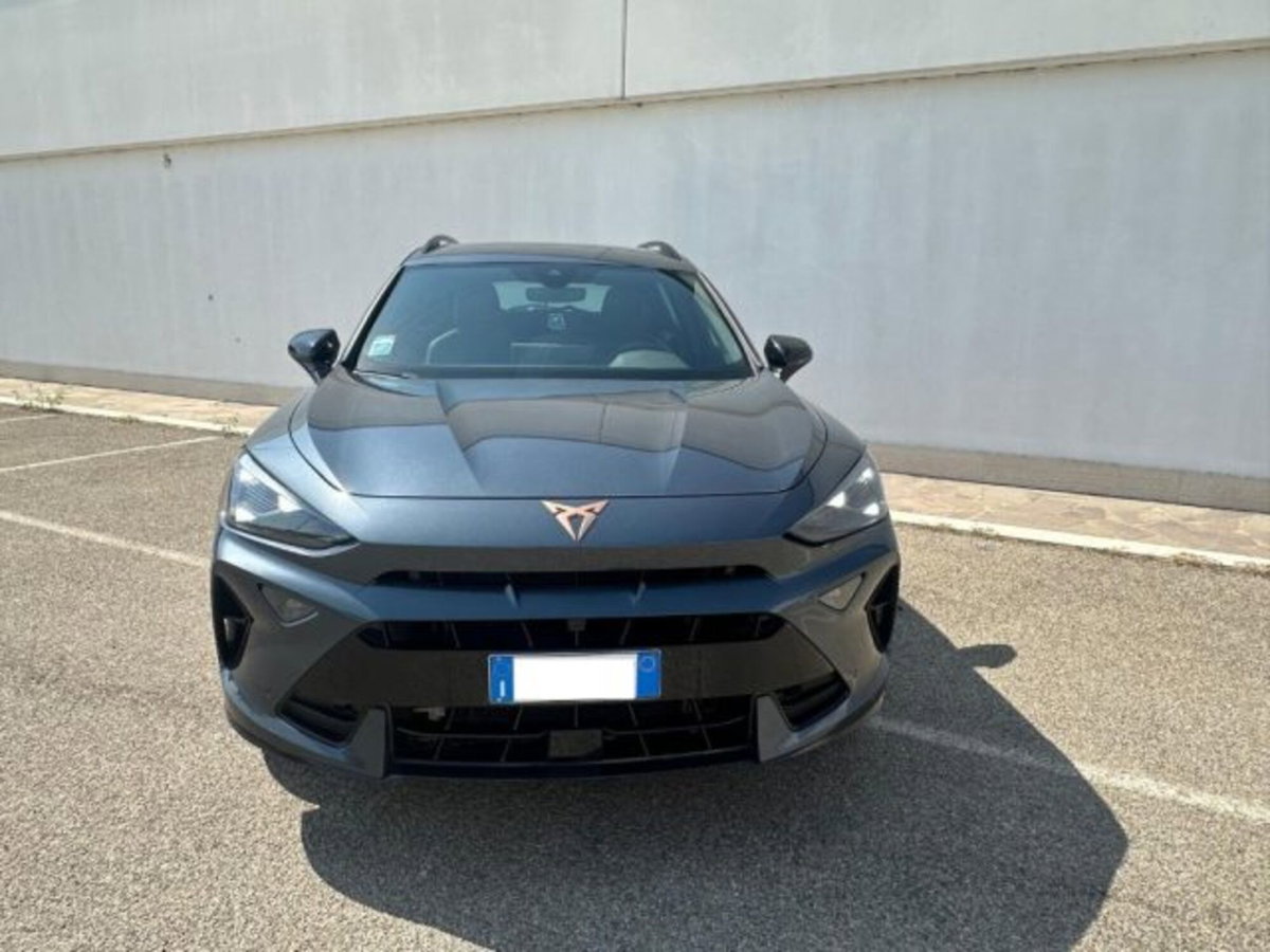 Cupra Formentor Formentor 2.0 TDI (3)