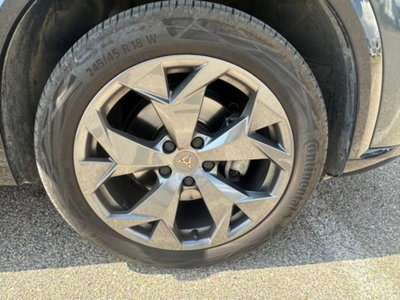 Cupra Formentor Formentor 2.0 TDI (7)