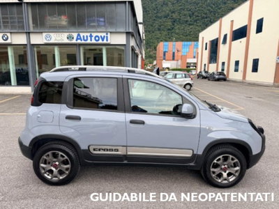 Fiat Panda Cross Cross 0.9 TwinAir Turbo S&S 4x4 (6)